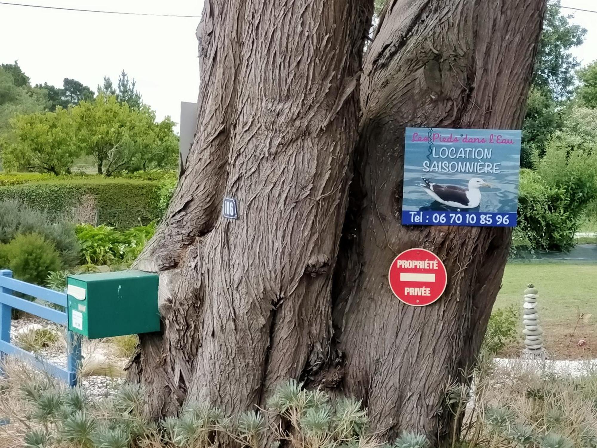 Au Calme, Les Pieds Dans L'Eau, 106 Route De La Pointe De Ruault 56370 Sarzeau Lejlighed Eksteriør billede