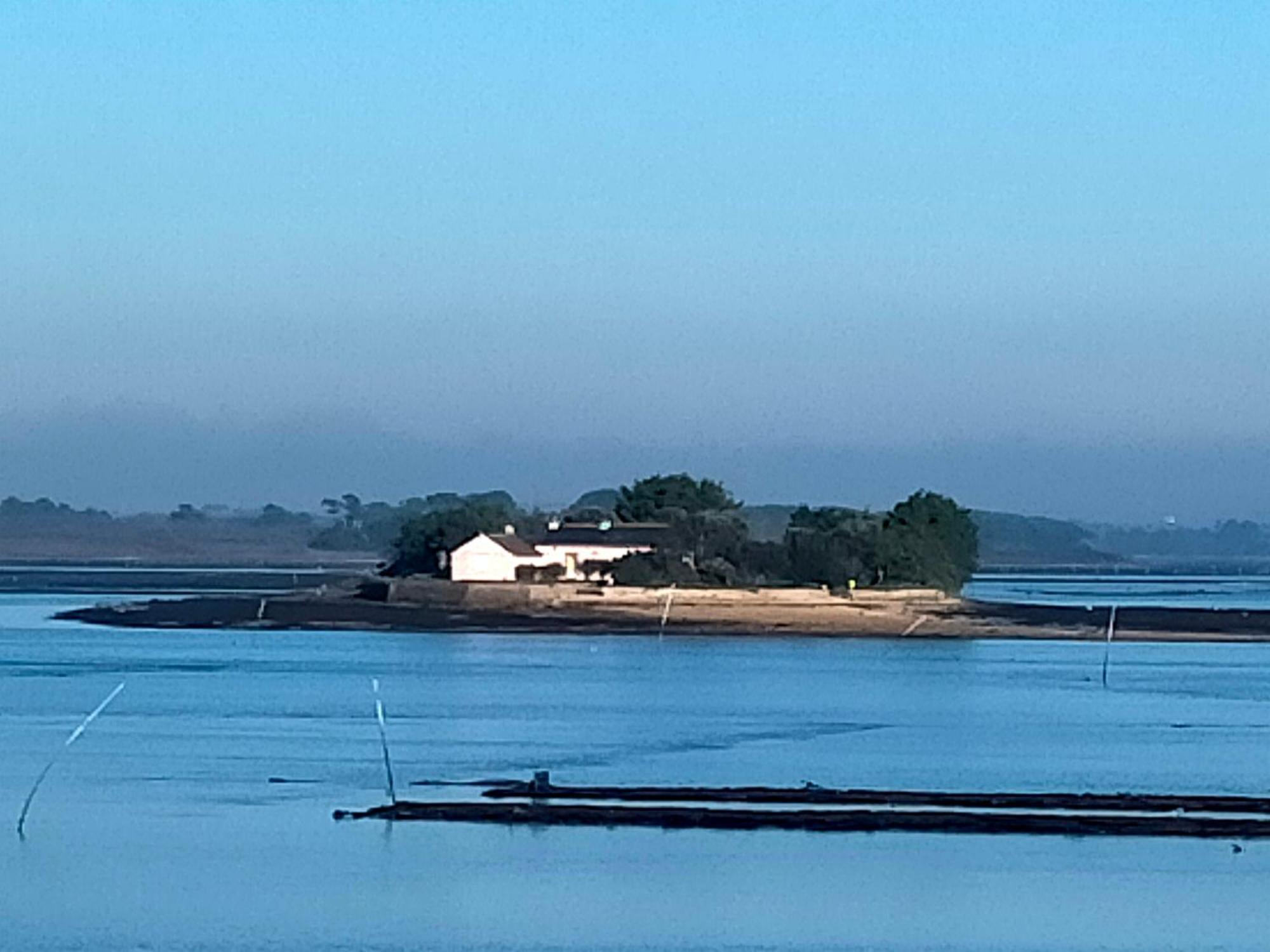 Au Calme, Les Pieds Dans L'Eau, 106 Route De La Pointe De Ruault 56370 Sarzeau Lejlighed Eksteriør billede